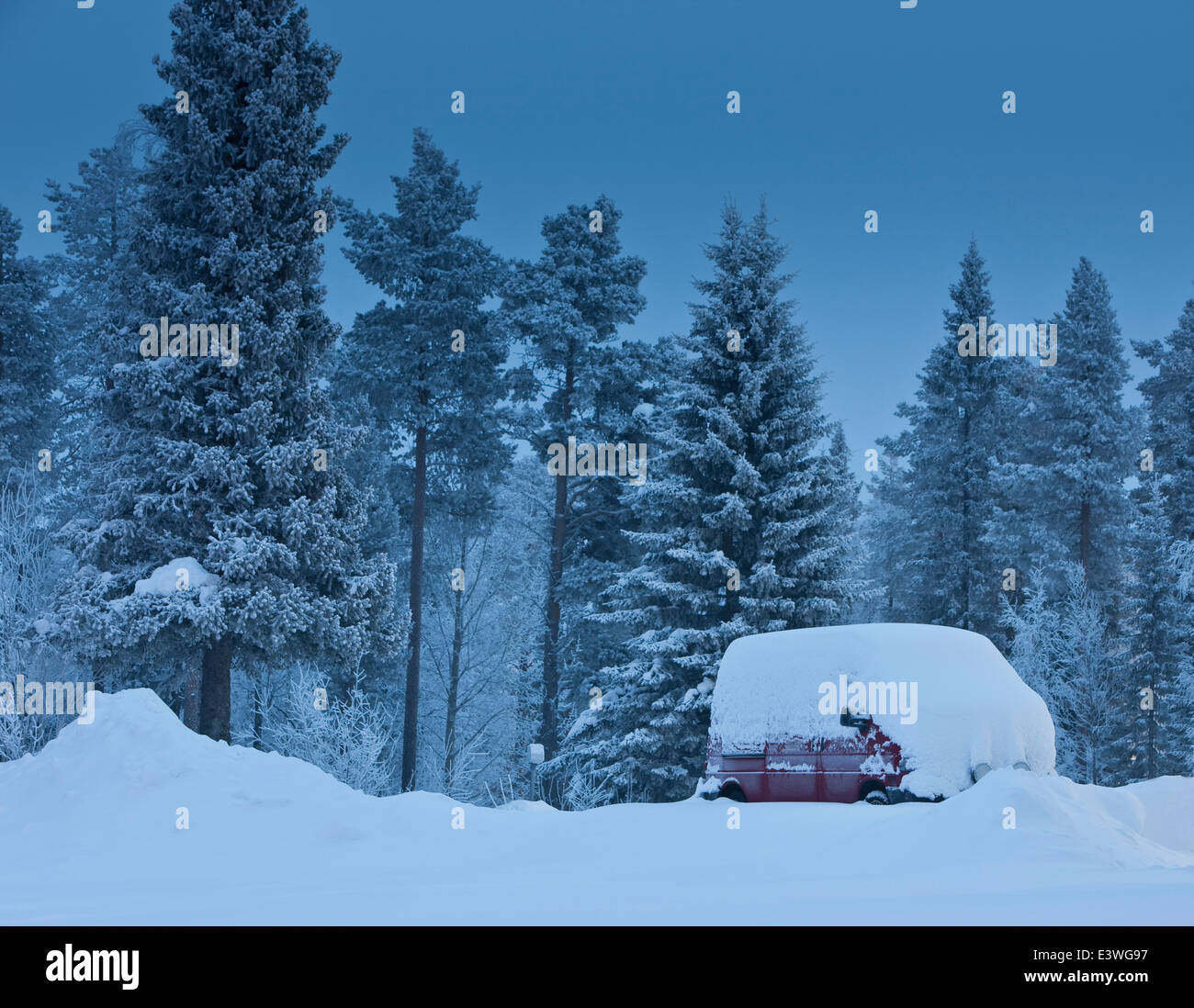 Coperta di neve carrello e alberi, Lapponia, Svezia Foto Stock