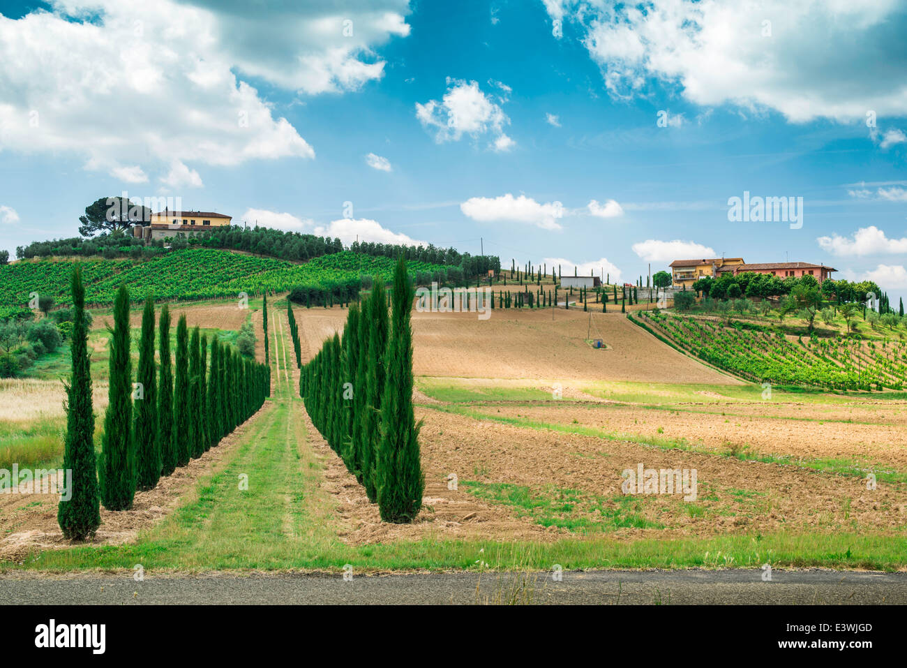 Vigneti e farm road in Toscana, Italia. Foto Stock