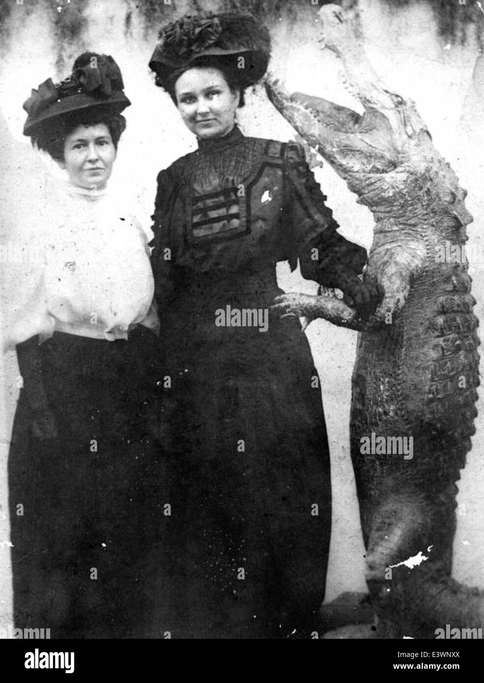 Questa cartolina fotografica raffigura due donne in posa con un alligatore tassidermiato, circondato da muschio spagnolo, una pianta comune degli Stati Uniti meridionali. Cattura lo stile unico dei ritratti di studio dei primi anni del XX secolo in Florida. Foto Stock