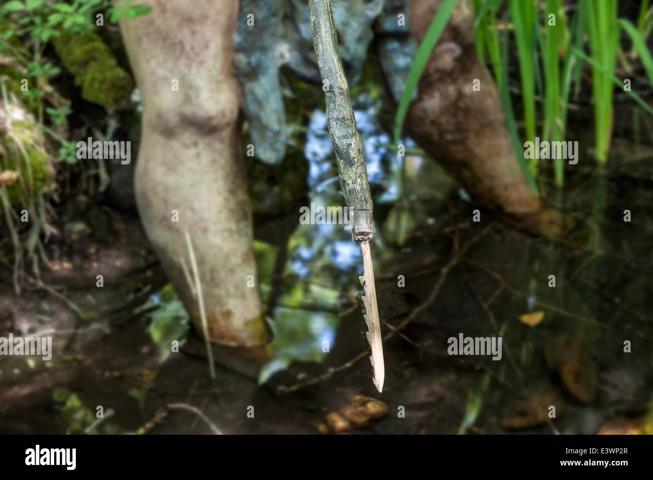 Cro-magnon uomo Pesca nel laghetto con arpione a Prehisto Parc circa la vita preistorica a Tursac, Périgord e Dordogna, Francia Foto Stock