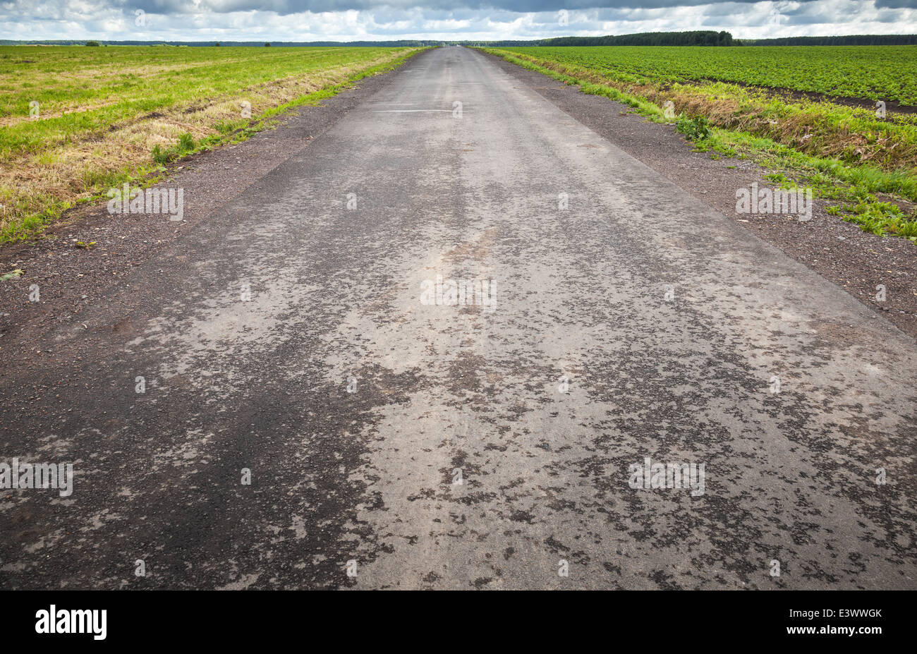 Asfalto vuoto country road prospettiva con linea di orizzonte Foto Stock