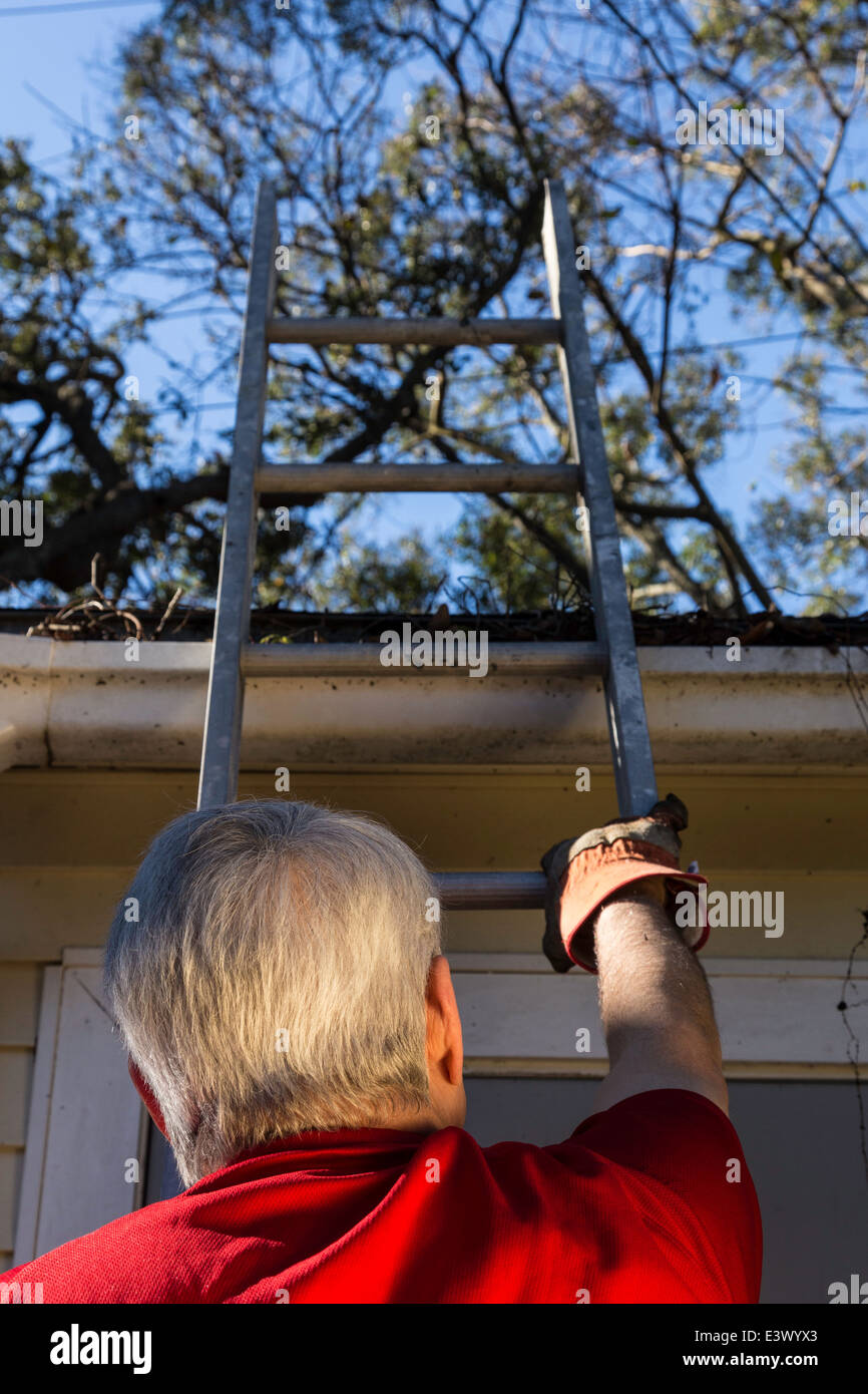 Uomo maturo arrampicata scaletta, STATI UNITI D'AMERICA Foto Stock
