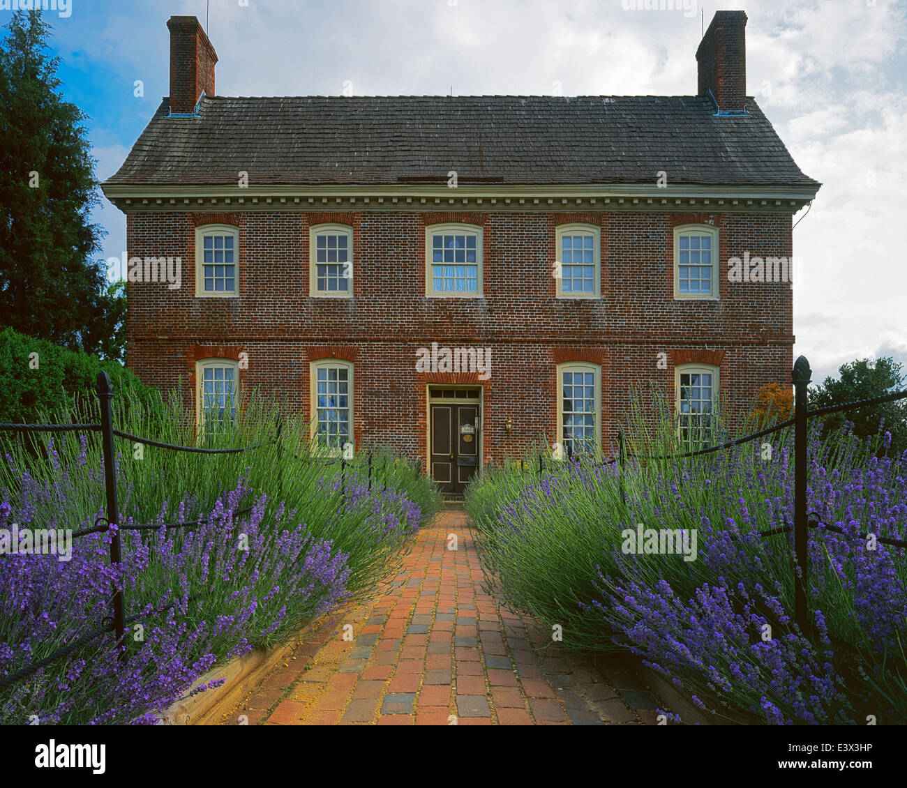 Stati Uniti d'America, Virginia, Shirley Plantation, salvia le frontiere a piedi Foto Stock