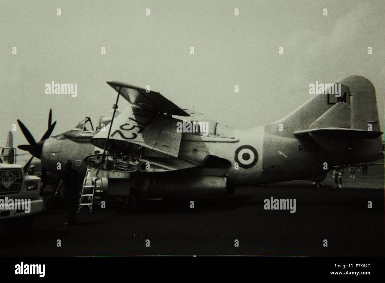 La Fairey Aviation Company, nota per i suoi contributi all'aviazione militare britannica, è rappresentata nella collezione SDASM. I Fairey Aircraft giocarono un ruolo significativo in entrambe le guerre mondiali, con modelli come il Fairey Swordfish e il Fairey Battle. Foto Stock