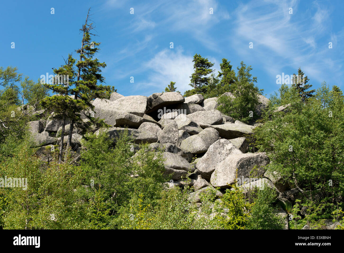 Rocce di granito Grenzklippe scogliere su Mt Hohnekamm, Parco Nazionale di Harz, Sassonia-Anhalt, Germania Foto Stock