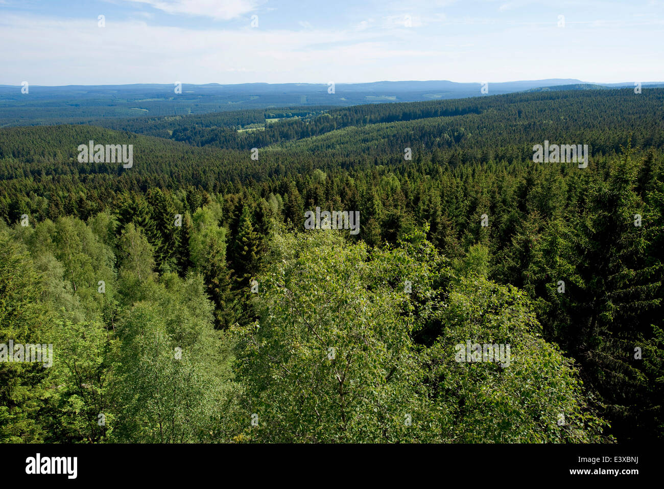 Vista da Trudestein rock formazione attraverso l'Harz mountain range, Parco Nazionale di Harz, Sassonia-Anhalt, Germania Foto Stock