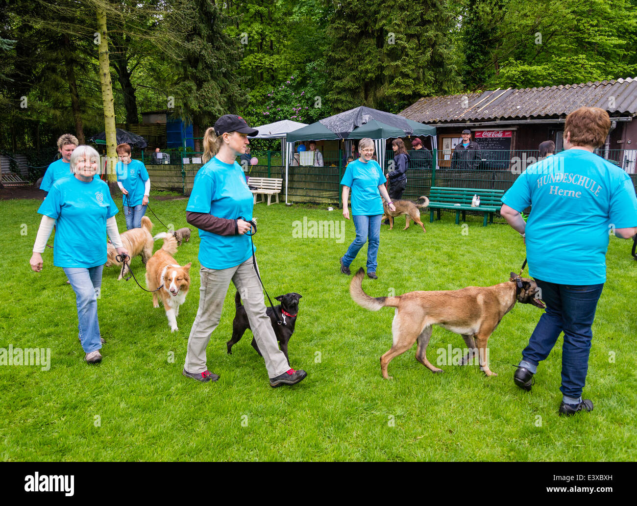 Un cane trainer (al centro) informa i proprietari di cani come gestire i loro animali domestici a un cane obbedienza scuola . Foto Stock