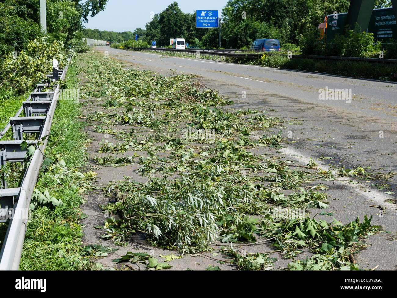 Rami caduti laici per l'autostrada A43 a Herne, la zona della Ruhr, Germania Occidentale, dopo il grave tempesta Ela anteriore Foto Stock