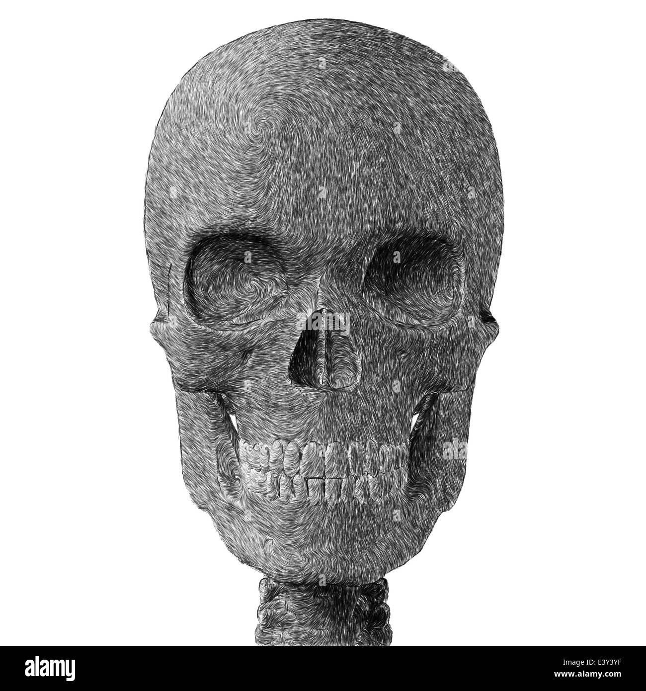 Cranio umano abstract schizzo a matita. Illustrazione digitale su sfondo bianco. Foto Stock