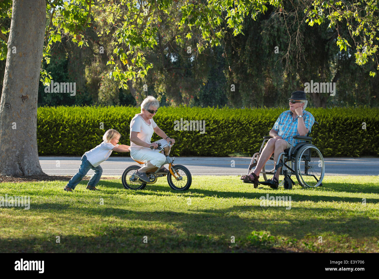 Tre anni di vecchio ragazzo spingendo la nonna sul ciclo con nonno guardando dalla sedia a rotelle Foto Stock