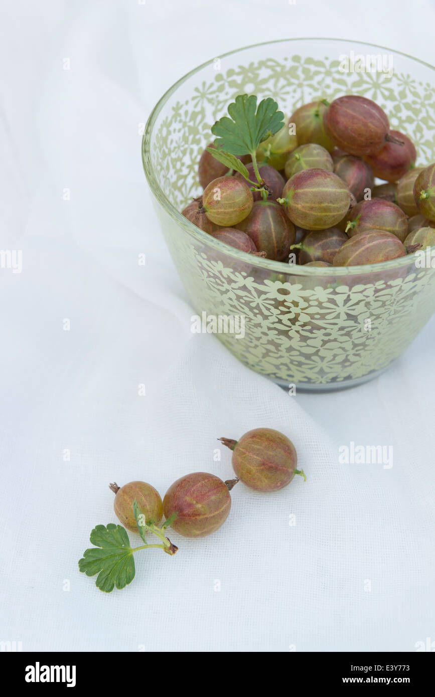 Frutta fresca Uva spina in una ciotola verde. Foto Stock