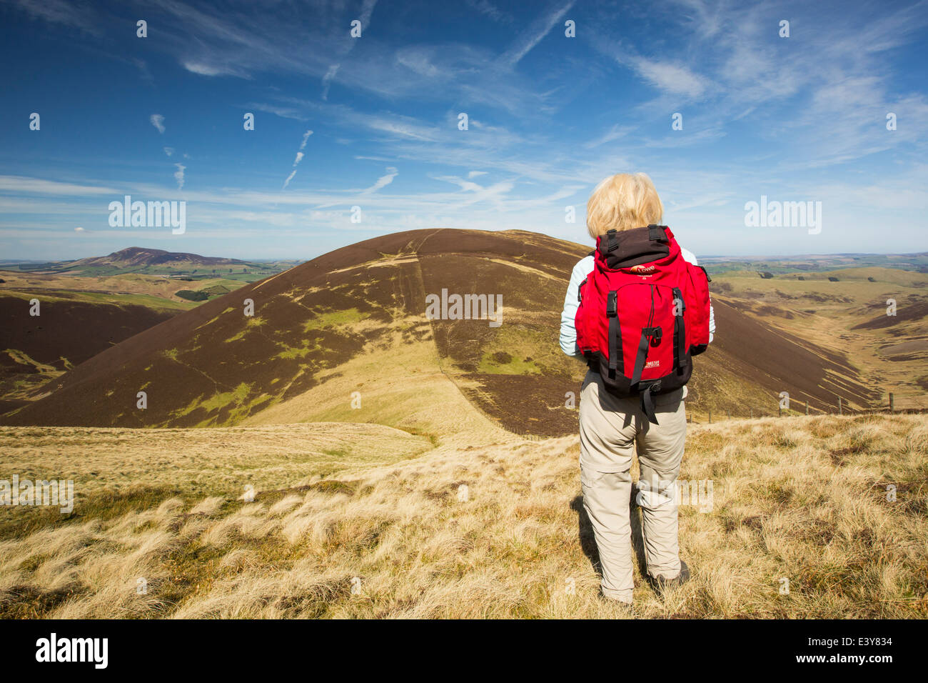 Una donna hill walker guardando verso Scawdmans collina sopra Biggar negli altipiani del Sud della Scozia, Regno Unito Foto Stock