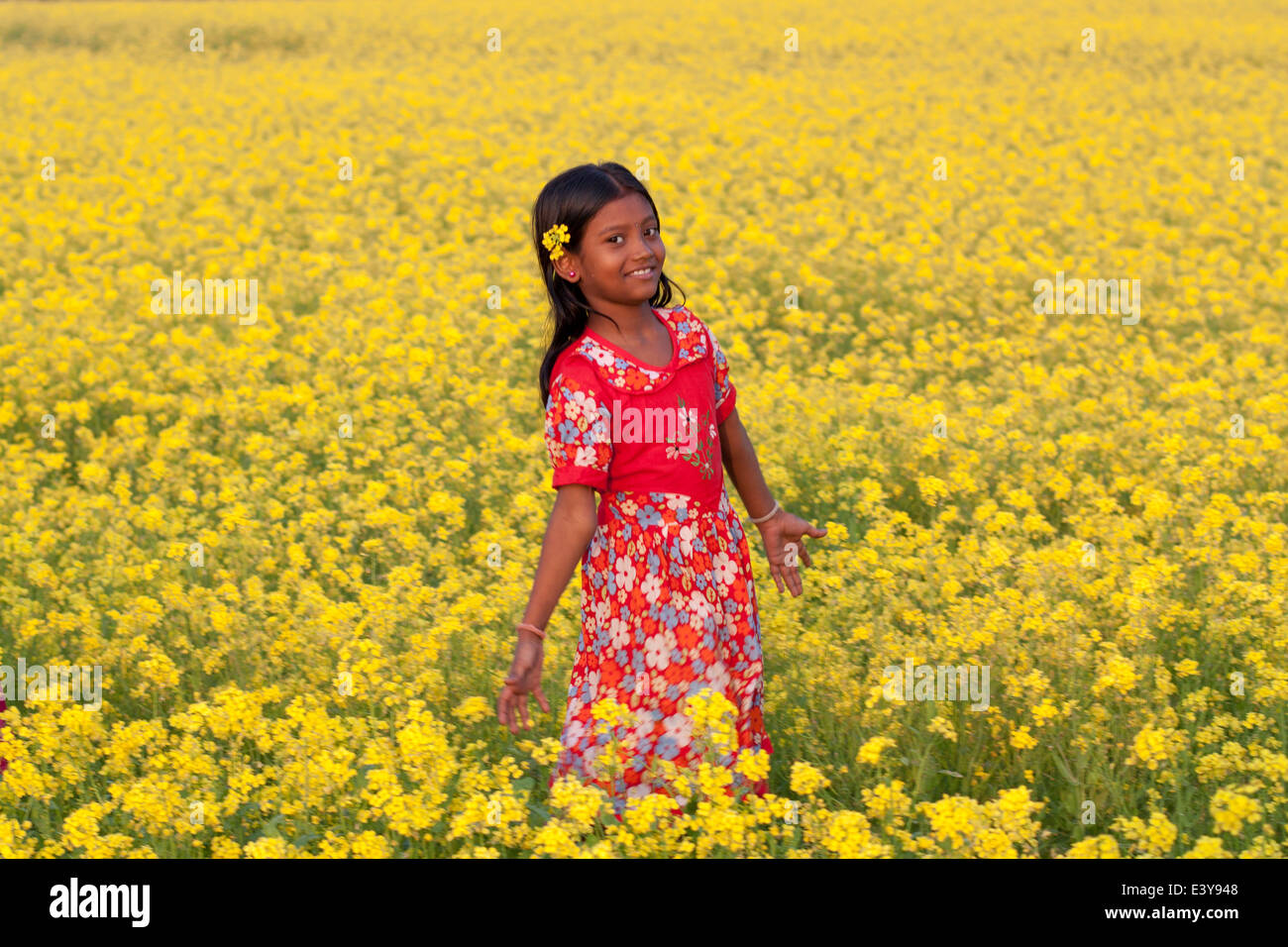 I bambini nel campo di senape ,immagine; Commercio; Paese; raccolto; coltivare; coltivata; coltivazione; giorno; lo sviluppo; paesi; Foto Stock
