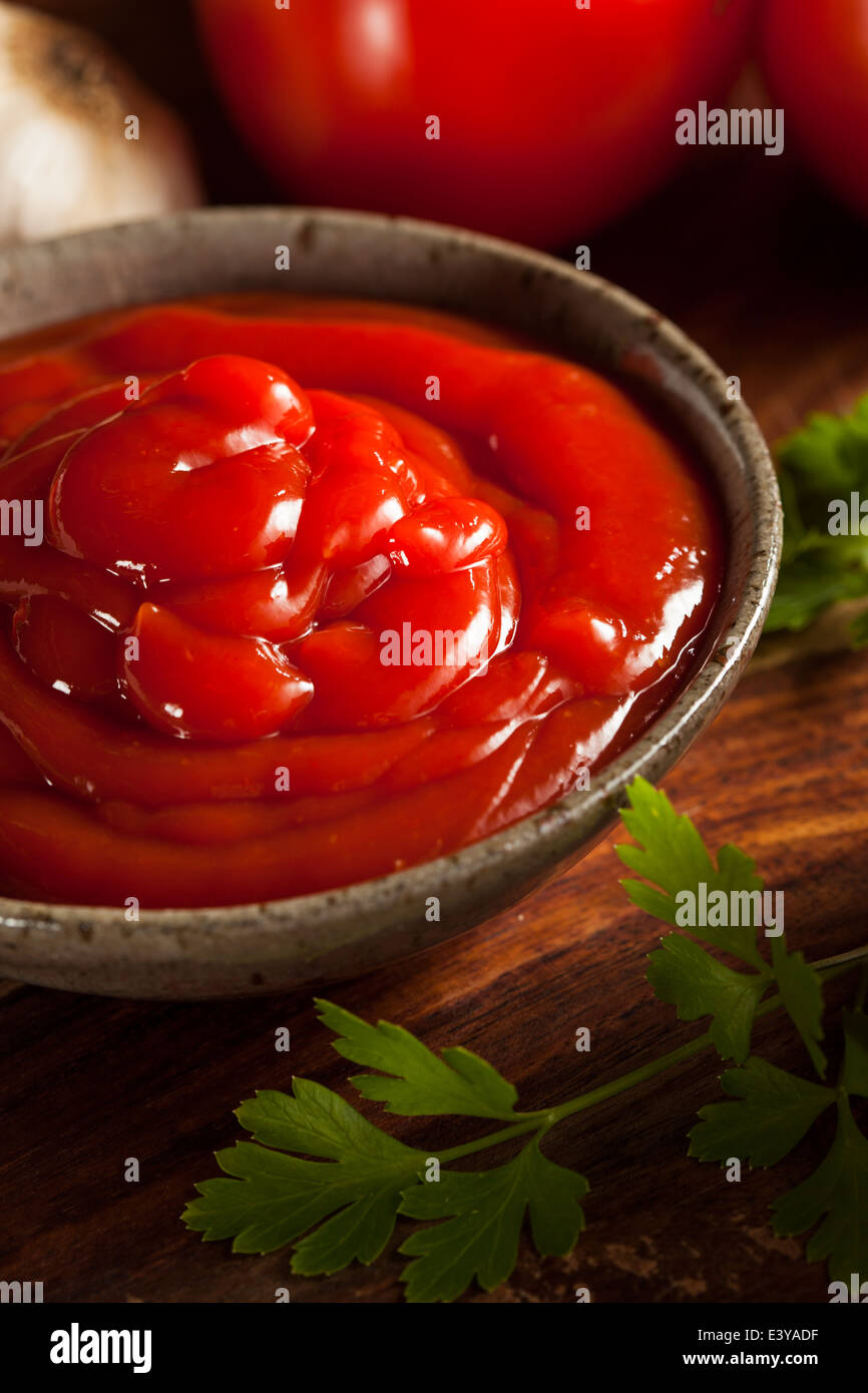 Organici di pomodoro rosso ketchup in una ciotola Foto Stock