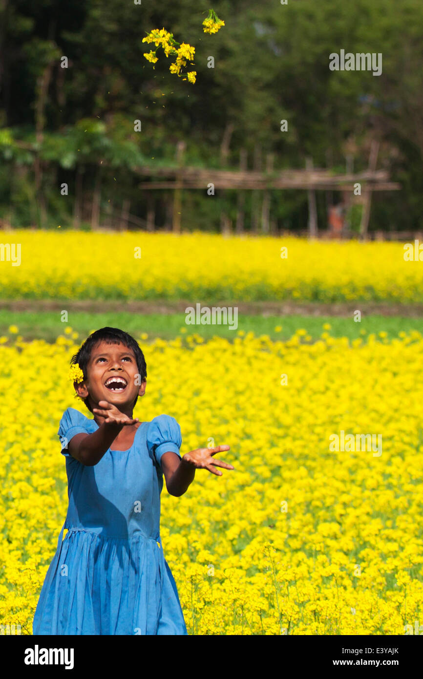 Campo di senape in Bangladesh la senape è un tempo fresco e raccolto è cresciuto da semi seminati in primavera. Da metà dicembre fino alla fine di gennaio, Bangladesh gli agricoltori coltivano i loro raccolti di vivacemente colorato di giallo senape fiori che sono in piena fioritura. Foto Stock