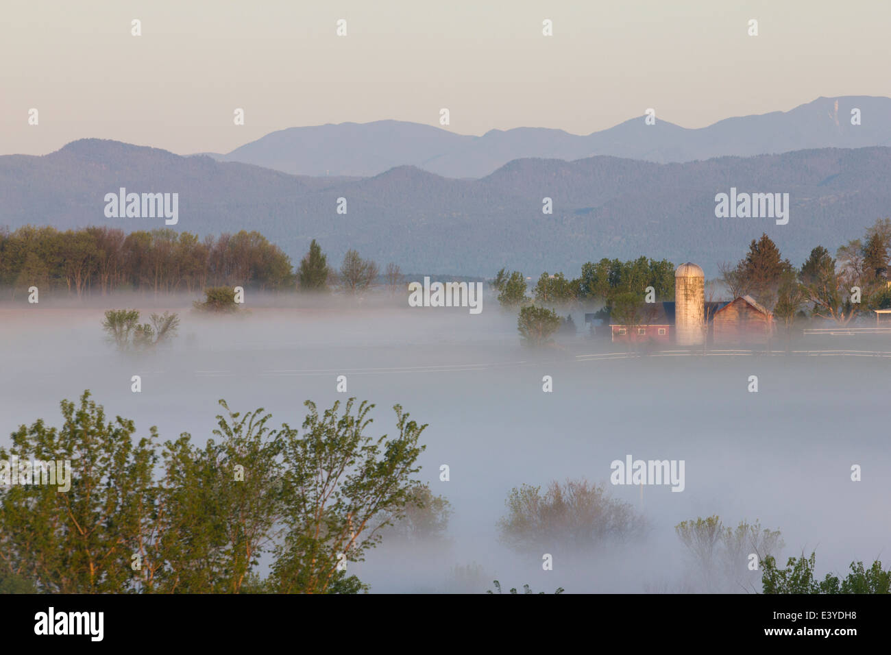 Le Montagne Adirondack luogo come sfondo per una mattinata nebbiosa farm scena nella contea di Addison, Vermont. La molla 2014. Foto Stock
