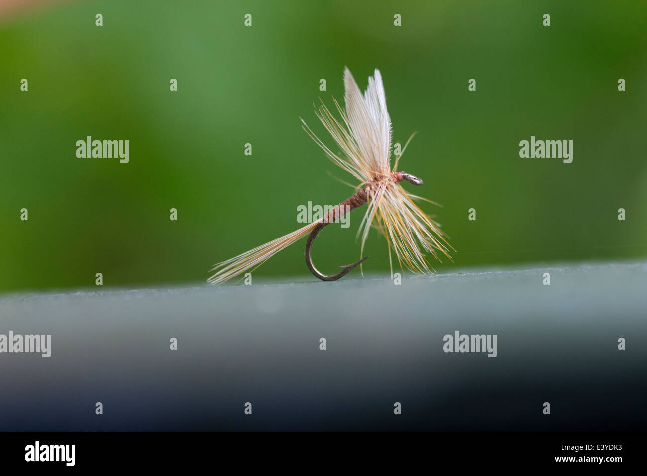 Foto Dettaglio di una mano-legato classic Ginger Quill dry fly Foto Stock