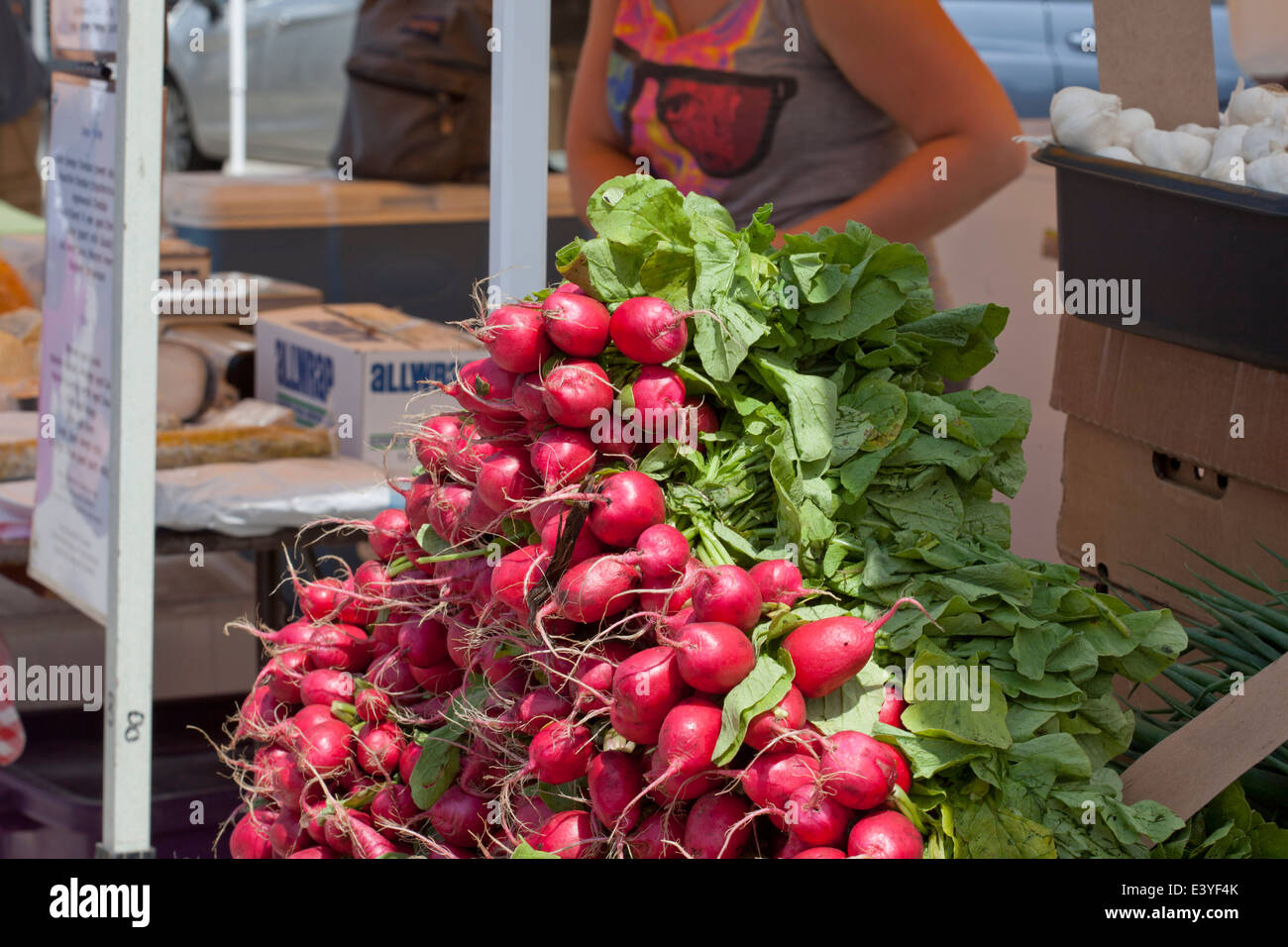 Mercato Agricolo, Park Ridge, l'Illinois Foto Stock