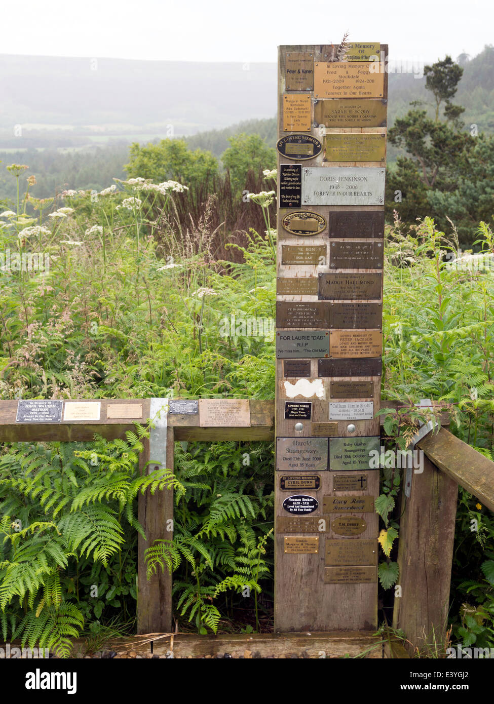 Un luogo per ricordo i messaggi sulla banca di creta a nord del North Yorkshire Moors National Park Foto Stock