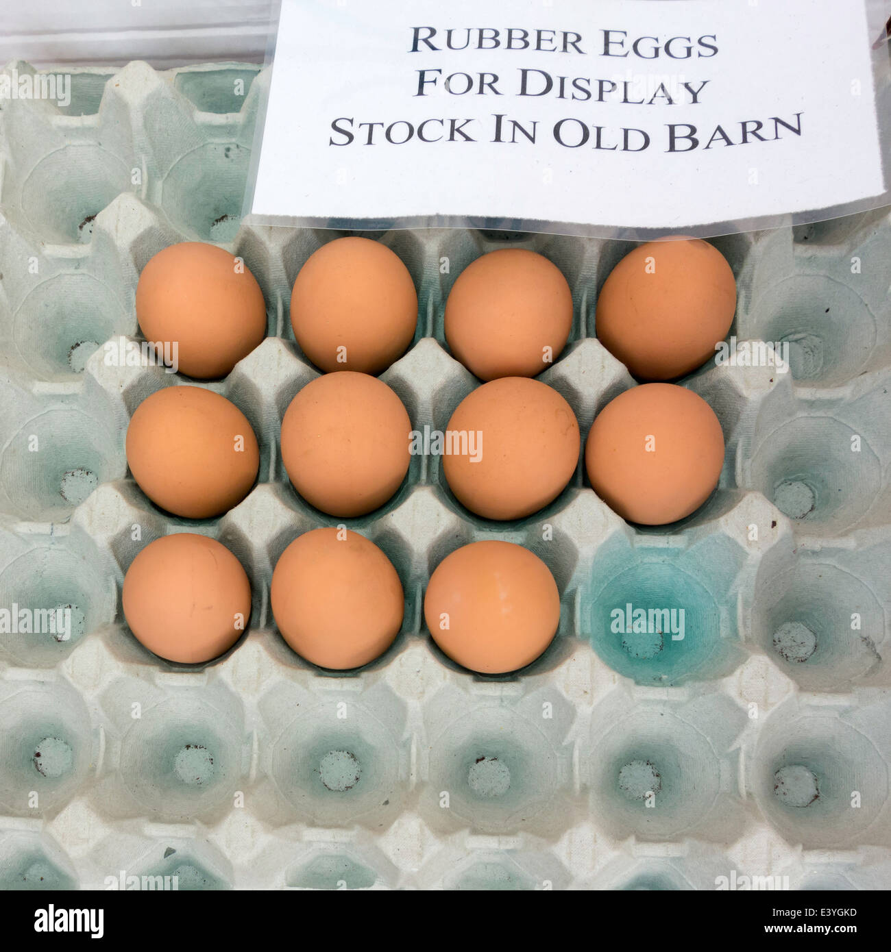 Display del Brown Hen's uova per la vendita delle uova di gomma al posto di quelli reali per scoraggiare il furto Foto Stock