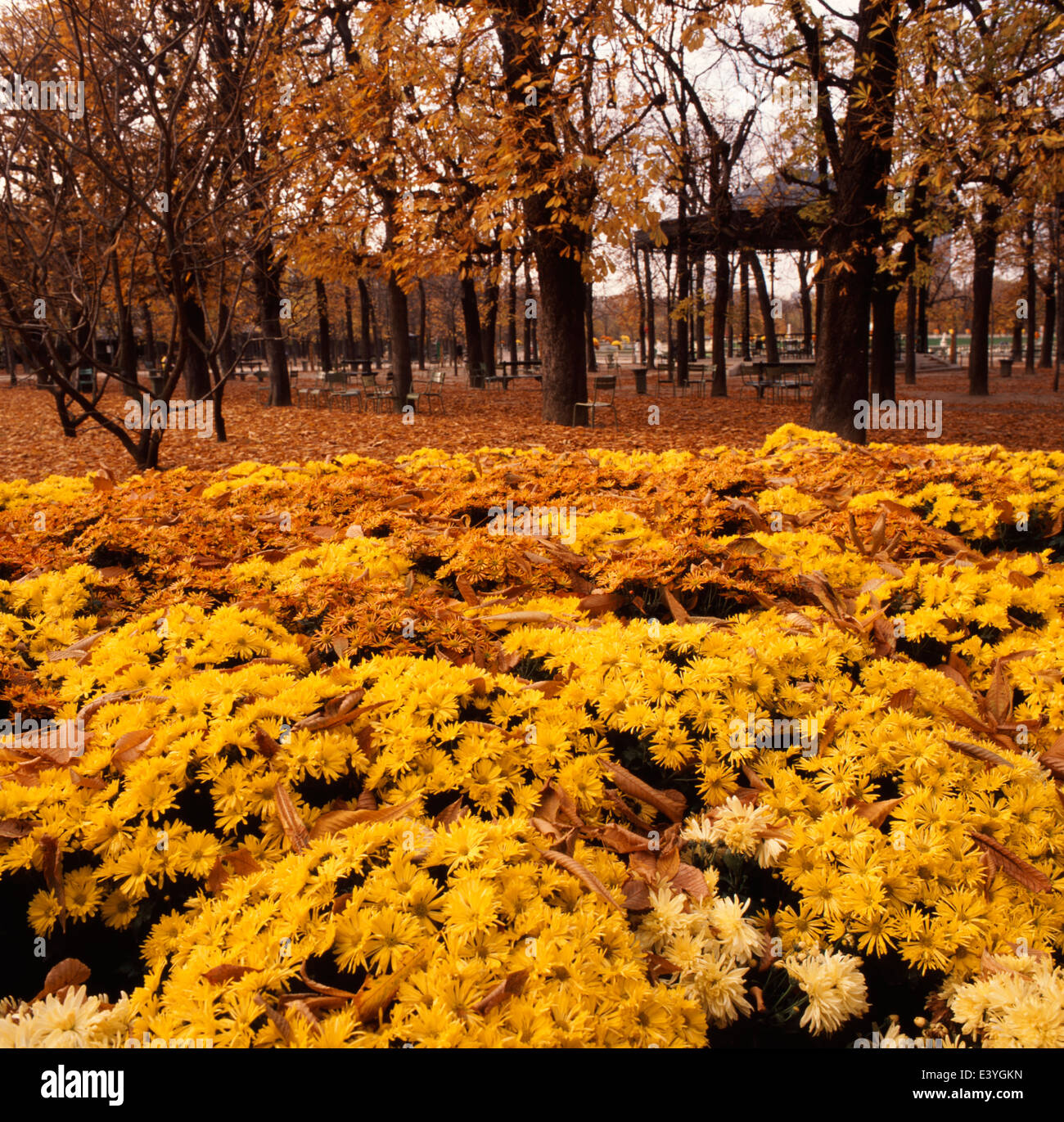 I Giardini del Lussemburgo a Parigi Foto Stock