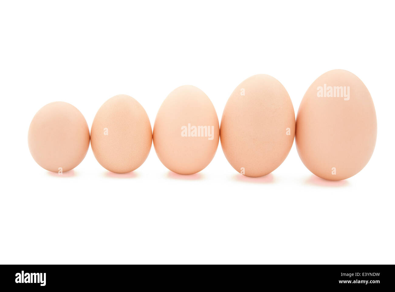 Dimensioni differenti uova line up con tracciato di ritaglio Foto Stock