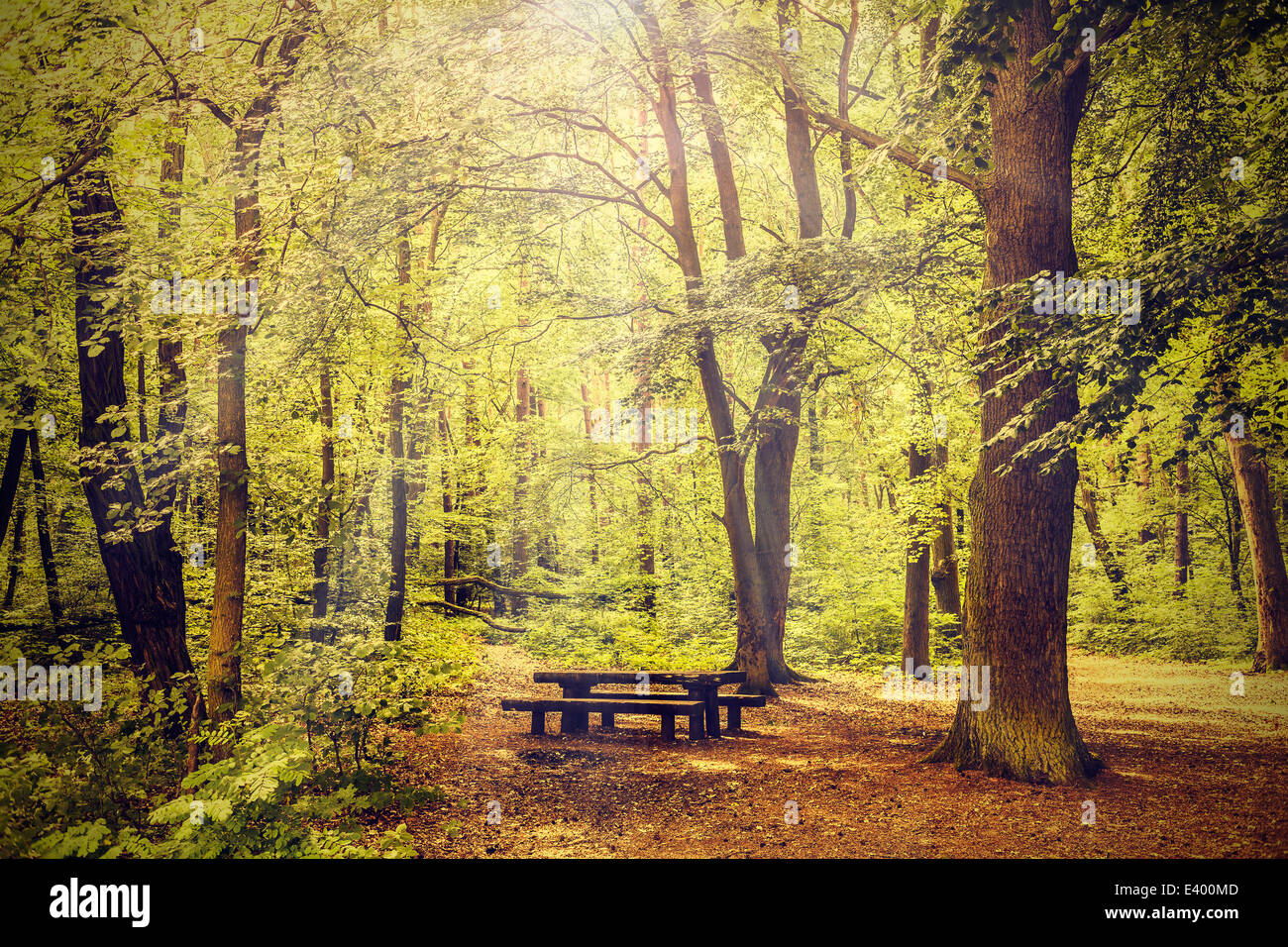 Natura pacifica sfondo vintage. Foto Stock