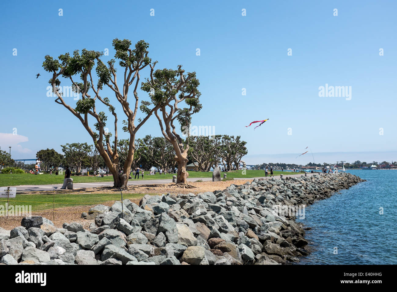 Alberi sulla baia al Seaport Village, San Diego, California, Stati Uniti d'America Foto Stock