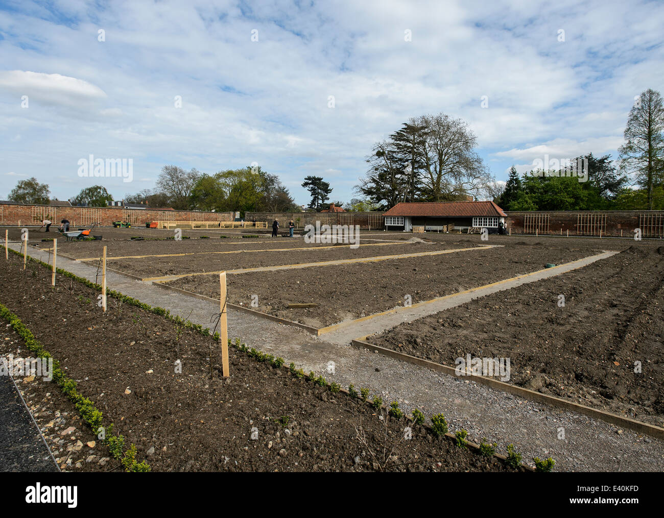 Il Royal Kitchen Garden in costruzione a Hampton Court Palace, East Molesey Surrey, Inghilterra, Regno Unito. Foto Stock