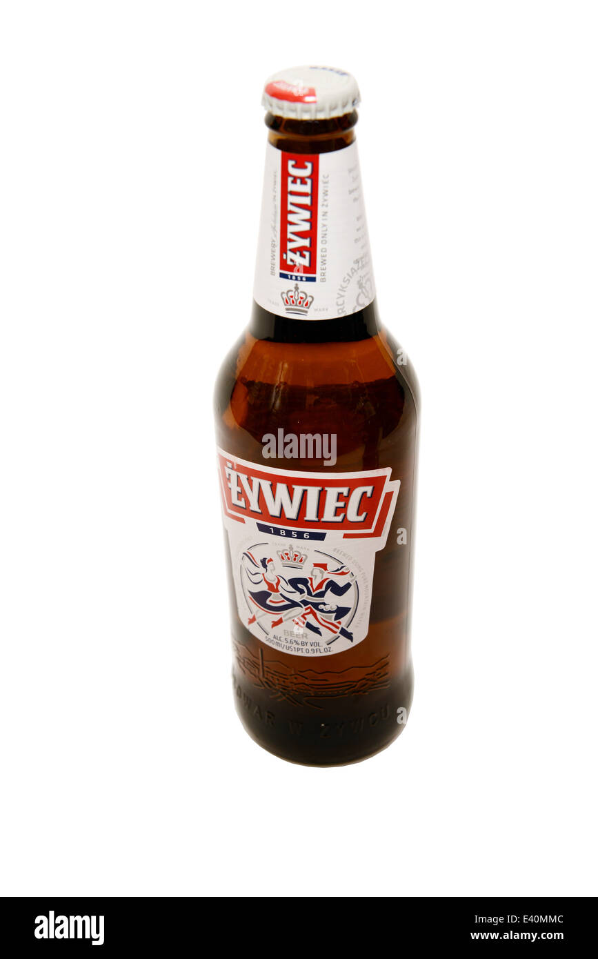 Żywiec Lager Foto Stock