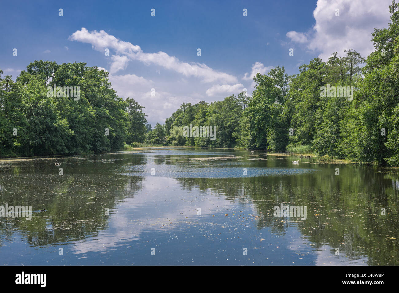 Rovinato vecchio palazzo Mrowiny Bassa Slesia Polonia Foto Stock