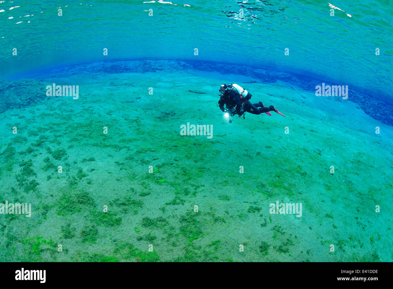 Scuba diving in Silfra Crack con laguna, isola Silfra, thingvellir Nationalpark, Islanda Foto Stock