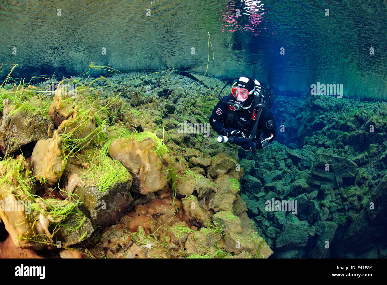 Scuba diving in Silfra Crack, Isola, Silfra, thingvellir Nationalpark, Islanda Foto Stock