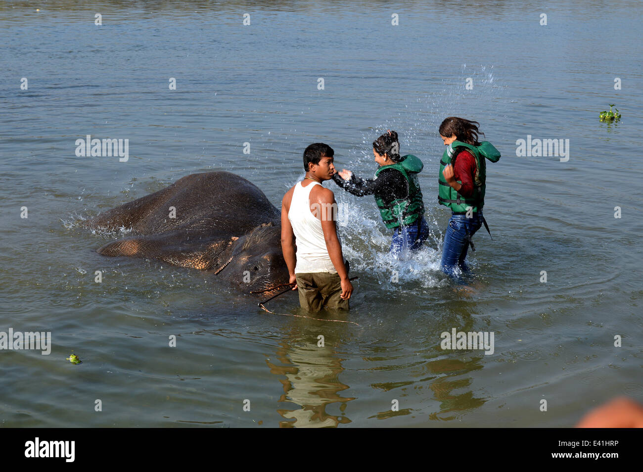 Elephant doccia che è un heffalump di un trunk doccia! Due signore godetevi la zanna di prendere un pachiderma doccia power a Chitawan National Jungle Park, Sauraha, Nepal. Un elefante del tronco è un versatile appendice. Spesso oltre 5 metri di lunghezza e contiene fino a 150.000 muscoli distinti, con nessun osso e solo una piccola quantità di grasso. Come pure essendo atuneful tronco-eter, è anche abile in sollevamento fino a 350 kg (770 lb), giungendo ad una altezza fino a 7 m (23 ft), scavare sotto il fango o sabbia e aspirare acqua sia per bere e per spruzzare sui loro corpi. È quest ultima specialità che attrae visitatori per il Foto Stock