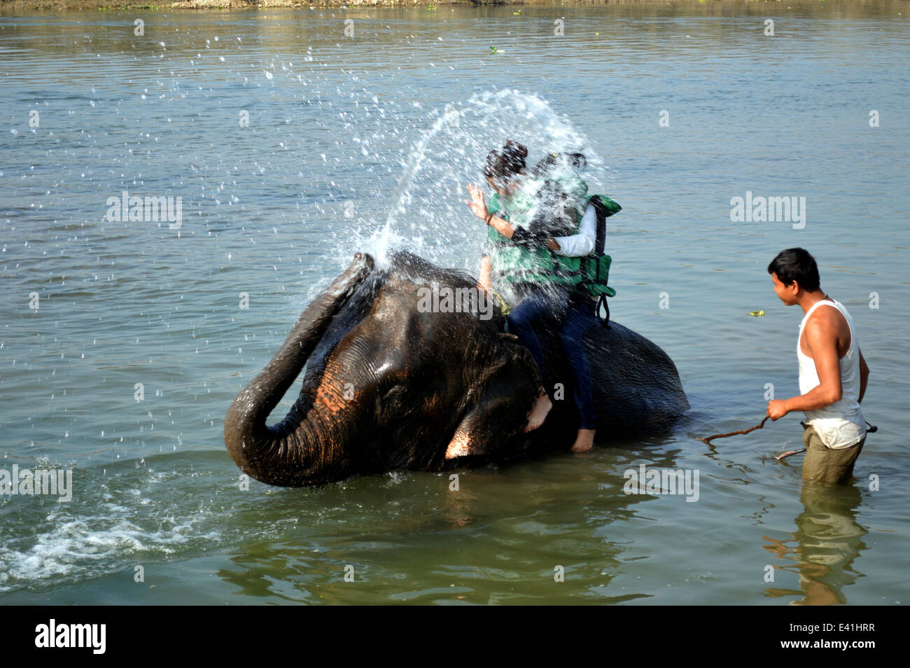 Elephant doccia che è un heffalump di un trunk doccia! Due signore godetevi la zanna di prendere un pachiderma doccia power a Chitawan National Jungle Park, Sauraha, Nepal. Un elefante del tronco è un versatile appendice. Spesso oltre 5 metri di lunghezza e contiene fino a 150.000 muscoli distinti, con nessun osso e solo una piccola quantità di grasso. Come pure essendo atuneful tronco-eter, è anche abile in sollevamento fino a 350 kg (770 lb), giungendo ad una altezza fino a 7 m (23 ft), scavare sotto il fango o sabbia e aspirare acqua sia per bere e per spruzzare sui loro corpi. È quest ultima specialità che attrae visitatori per il Foto Stock