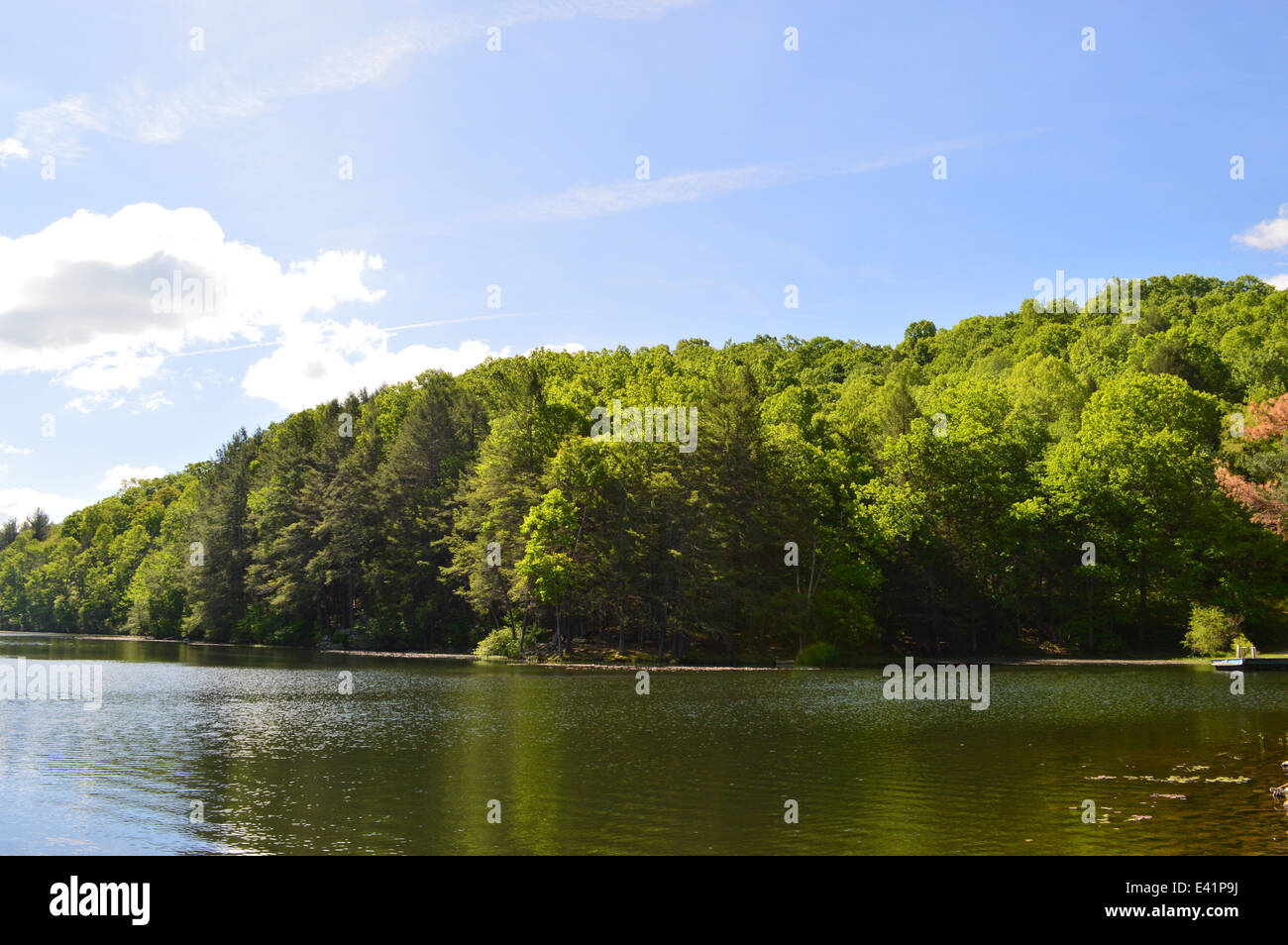 Fiume silenzioso, acqua,cielo, blu, verde, della natura, della foresta, autunno, luce di sole, cielo chiaro Foto Stock