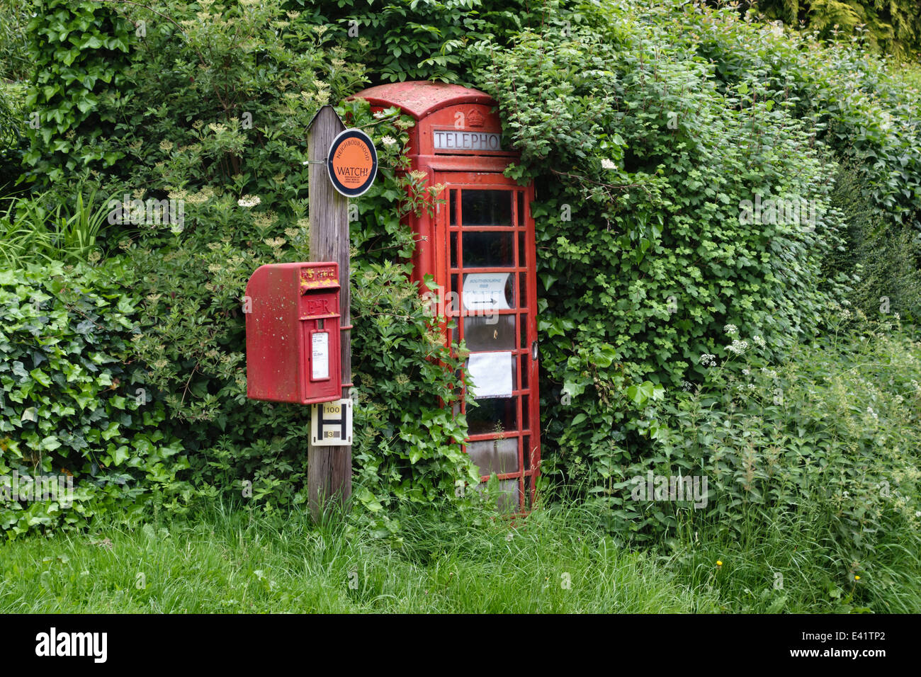 Un vecchio telefono nel kiosk Herefordshire, UK, quasi perso nella siepe ricoperta con un Royal Mail postbox Foto Stock