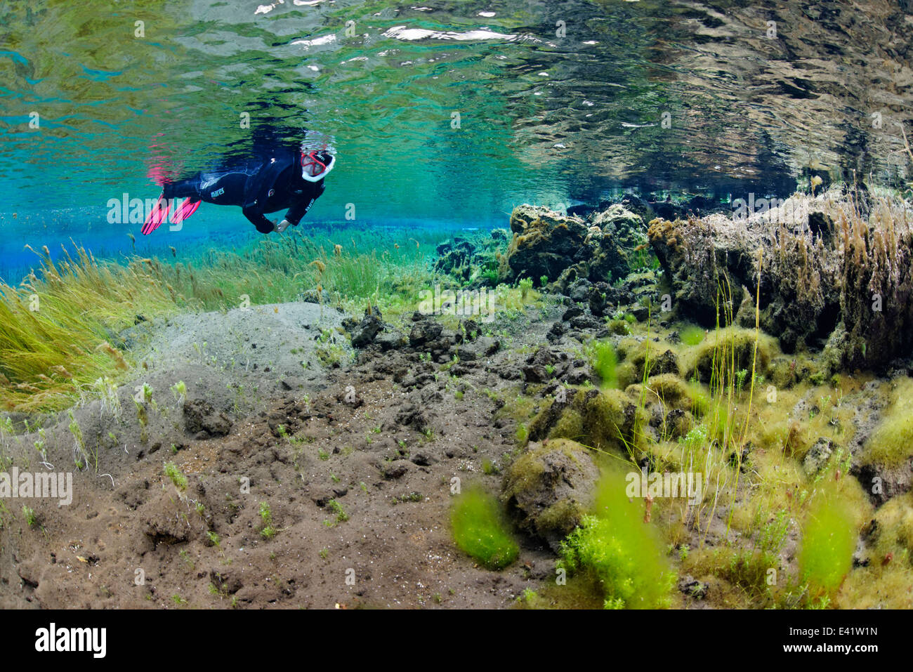 Headwater, la molla dal piccolo fiume Litla nel nord dell'Islanda, Litla un, Akureyri, Nord Islanda Foto Stock