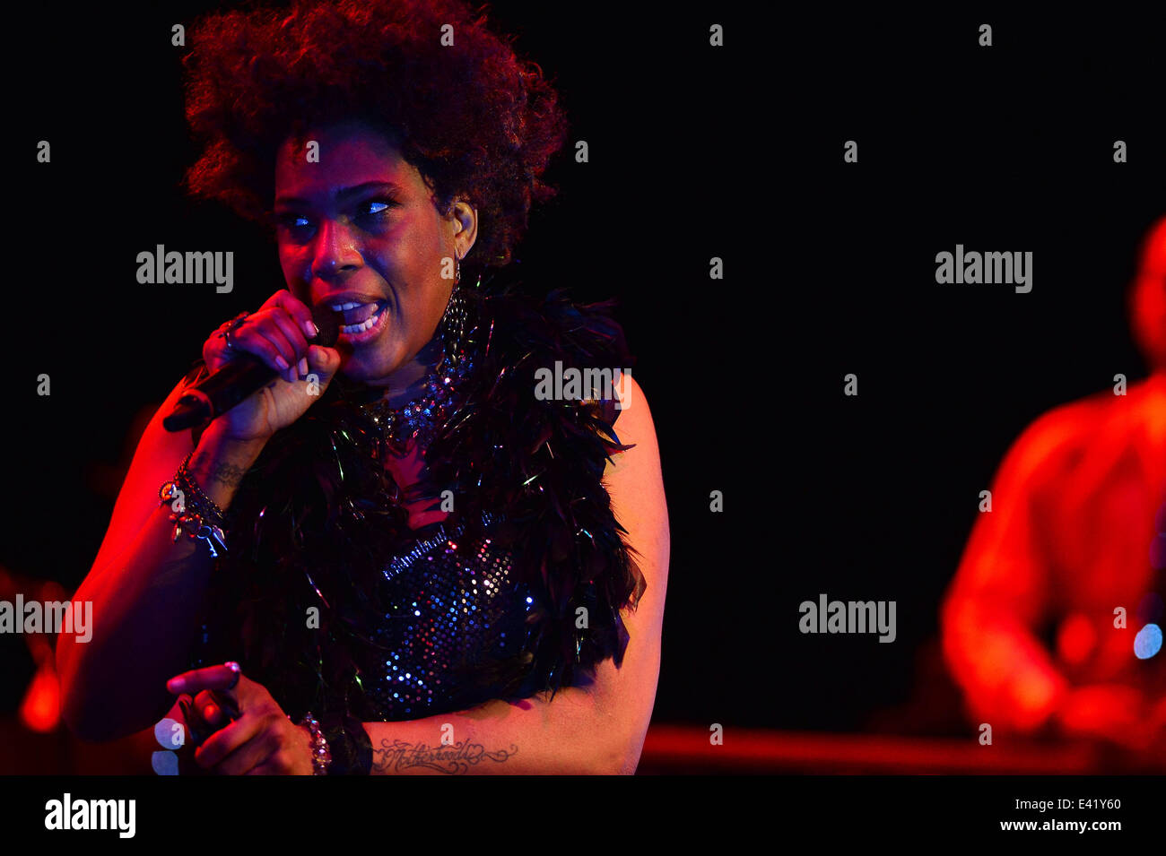 Macy Gray compie durante la sua XIV anniversario - 'su come la vita è' a Casino Miami Jai Alai offre: Macy Gray dove: Miami, Florida, Stati Uniti quando: 31 Dic 2013 Foto Stock