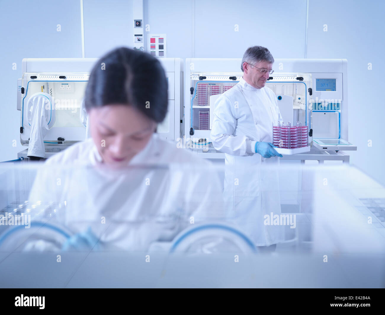 Gli scienziati che lavorano in laboratorio ad una postazione di lavoro Foto Stock