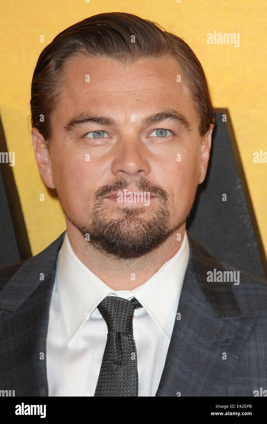 Il lupo di Wall Street Premiere del film con: Leonardo DiCaprio dove: Londra, Regno Unito quando: 09 Gen 2014 Foto Stock