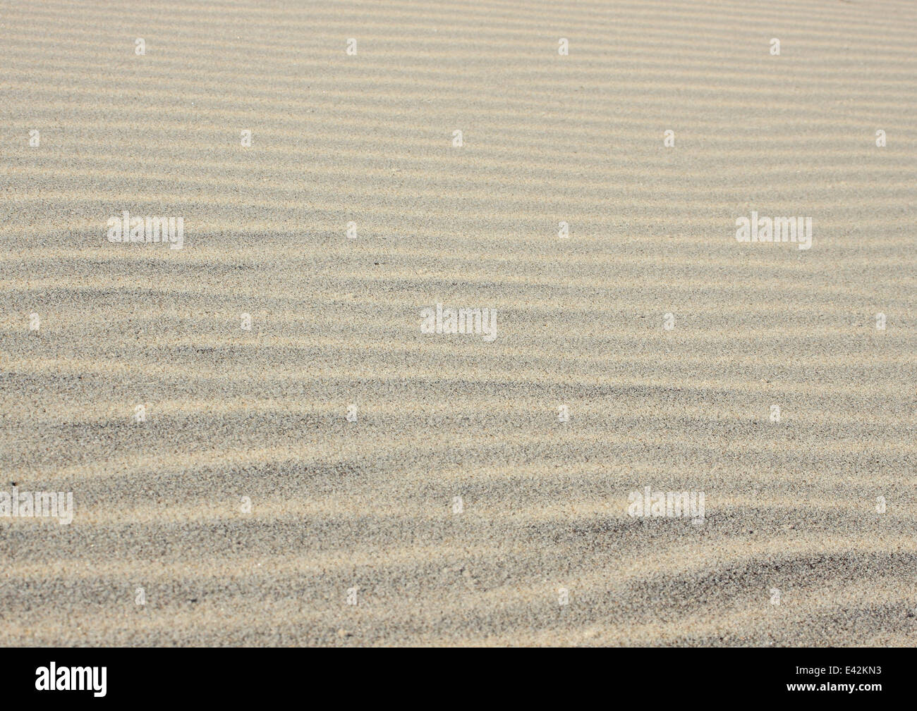 Onde di sabbia - sabbia orizzontale creare texture e creato dal vento e oceano Foto Stock