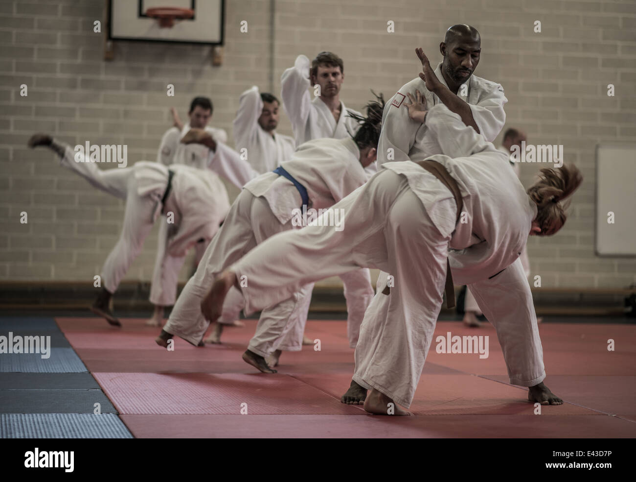 Jitsu - Il Jitsu Foundation - TJF - Londra, Primavera 2014 Foto Stock