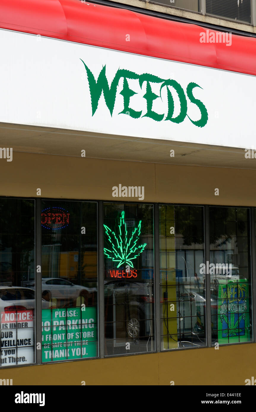 Vetro di erbacce e di doni store su Burrard Street, Kitsilano, Vancouver, BC, Canada Foto Stock