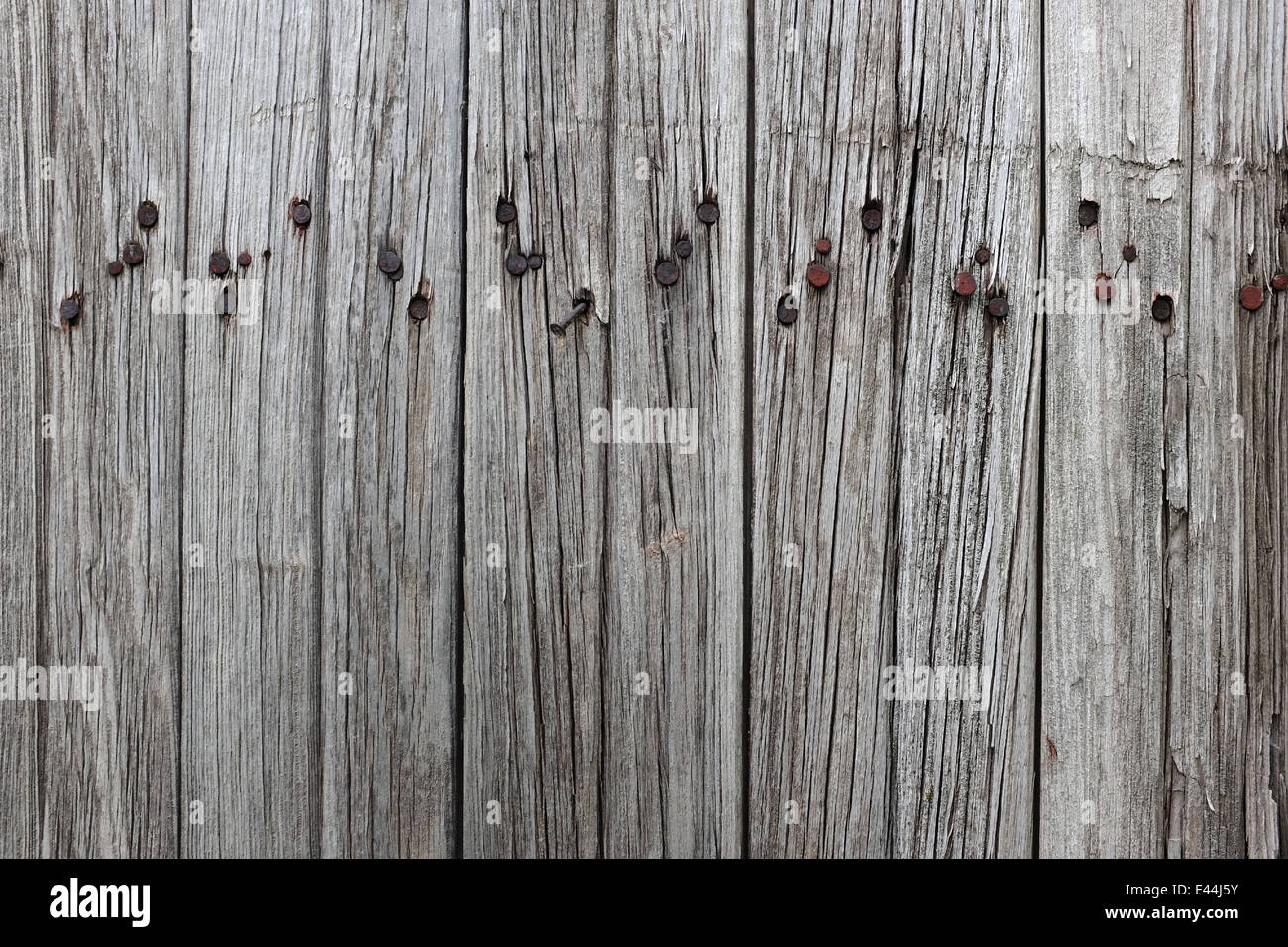 Un weathered superficie di legno con un sacco di chiodi arrugginiti Foto Stock