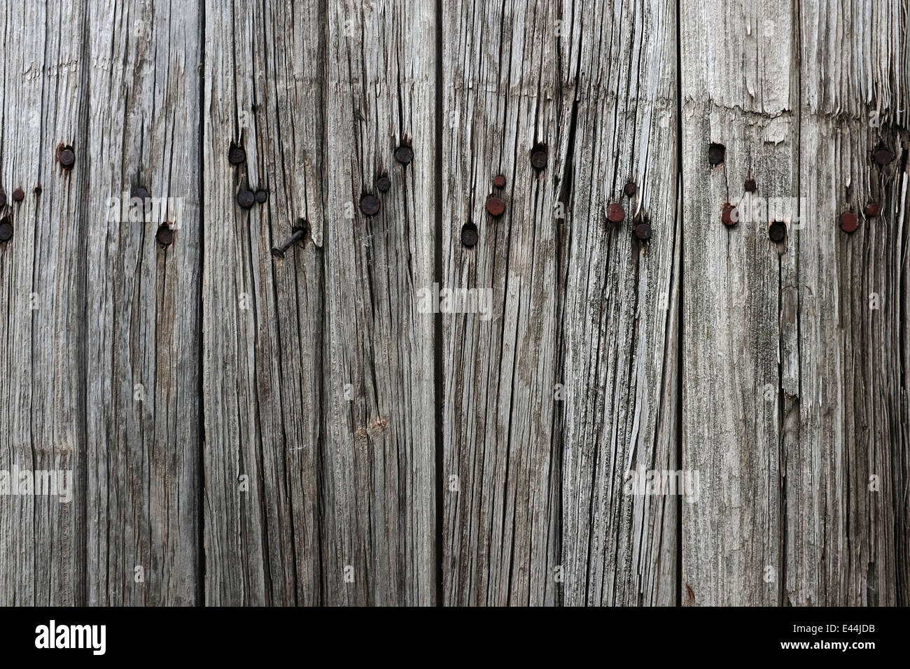 Un weathered superficie di legno con un sacco di chiodi arrugginiti Foto Stock