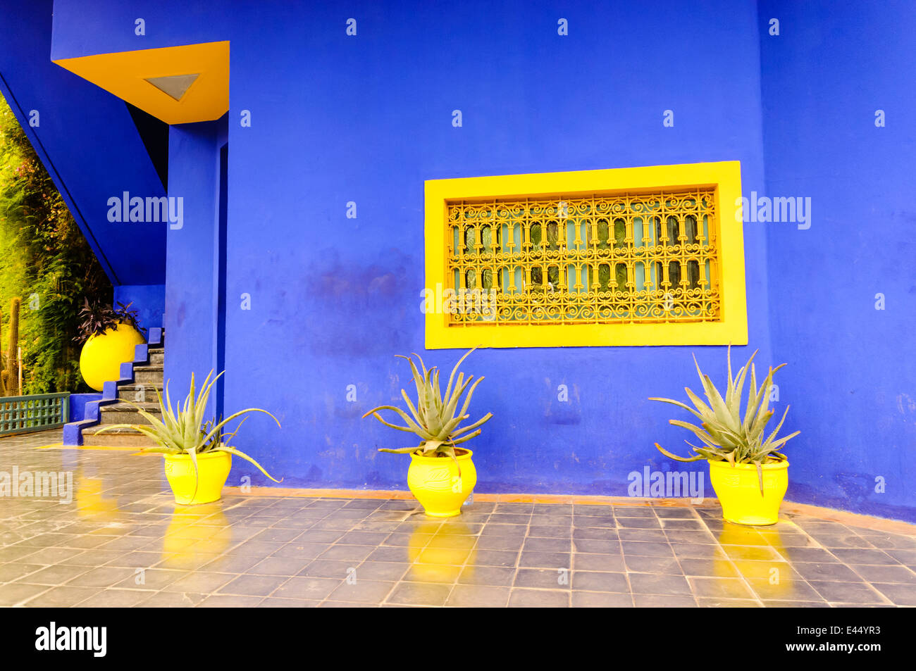 La famosa attrazione turistica, Les Jardins Majorelle, Marrakech, Marocco, che contengono molte specie di cactus. Foto Stock