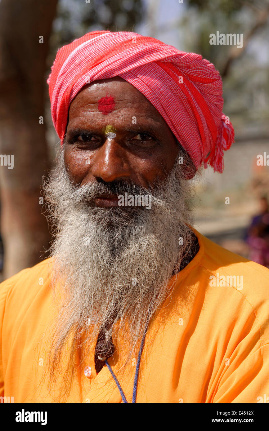 Sadhu, ritratto, Ron, Karnataka, India meridionale, India Foto Stock