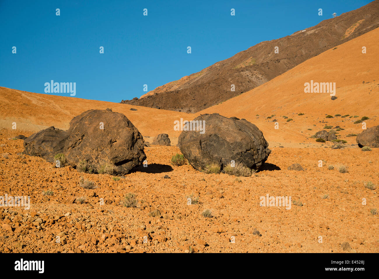 Massi lavici, "Teide uova', Huevos del Teide, Montana Blanca, Pico del Teide, 3718m, il Parque Nacional de las Cañadas del Teide Foto Stock