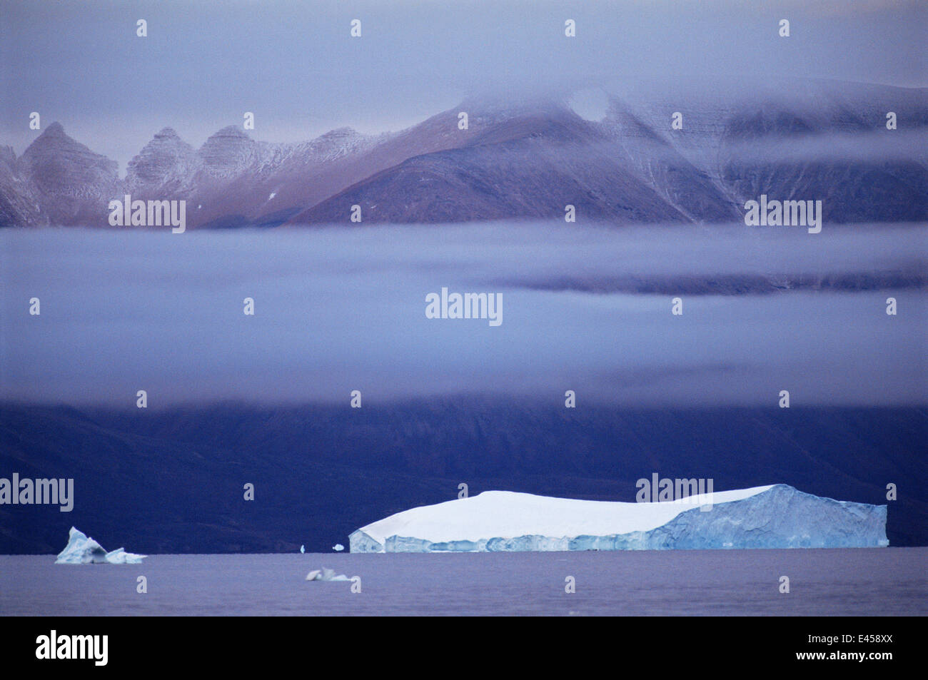 Iceberg galleggianti in mare a Qaanaaq, Groenlandia Foto Stock